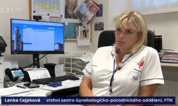 Článek 2903